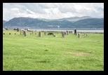 Beaumaris -09-06-2014 - Bogdan Balaban